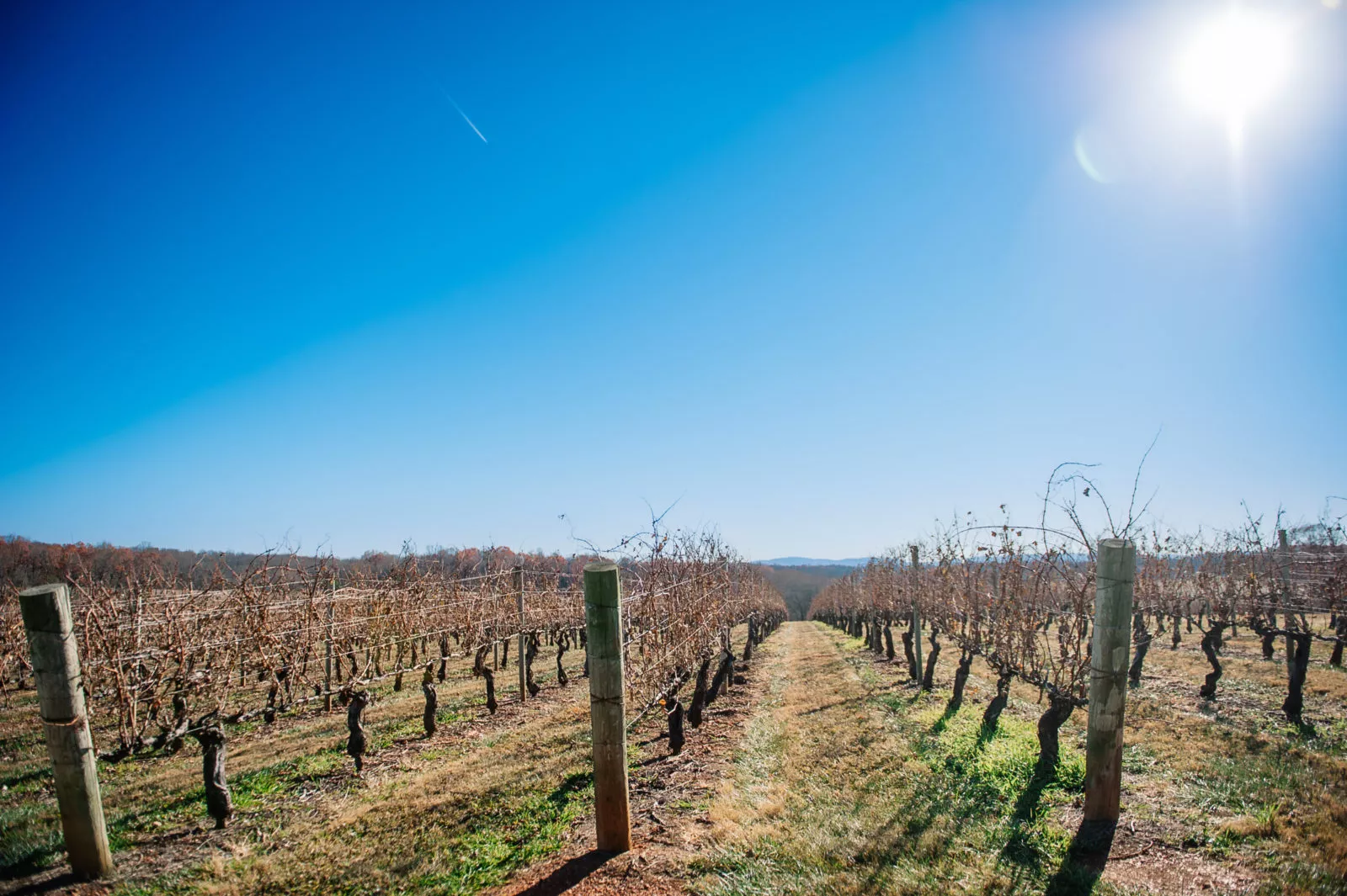 a scenic view of a winery vineyard