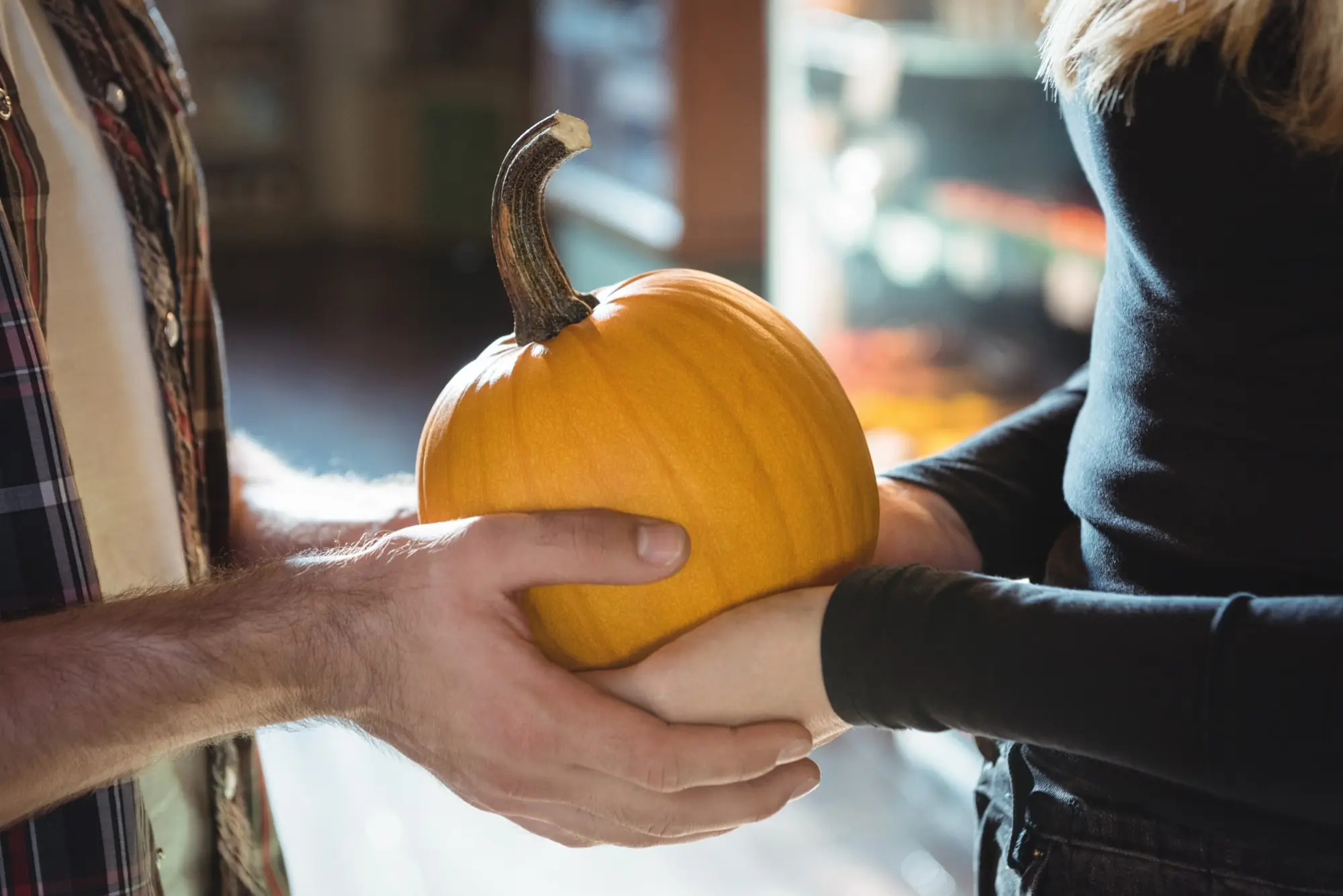 The Race to Fall: Ramping Up Pumpkin Beer Production!